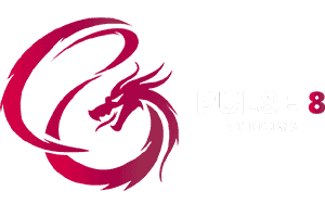 Pulse 8 Studios